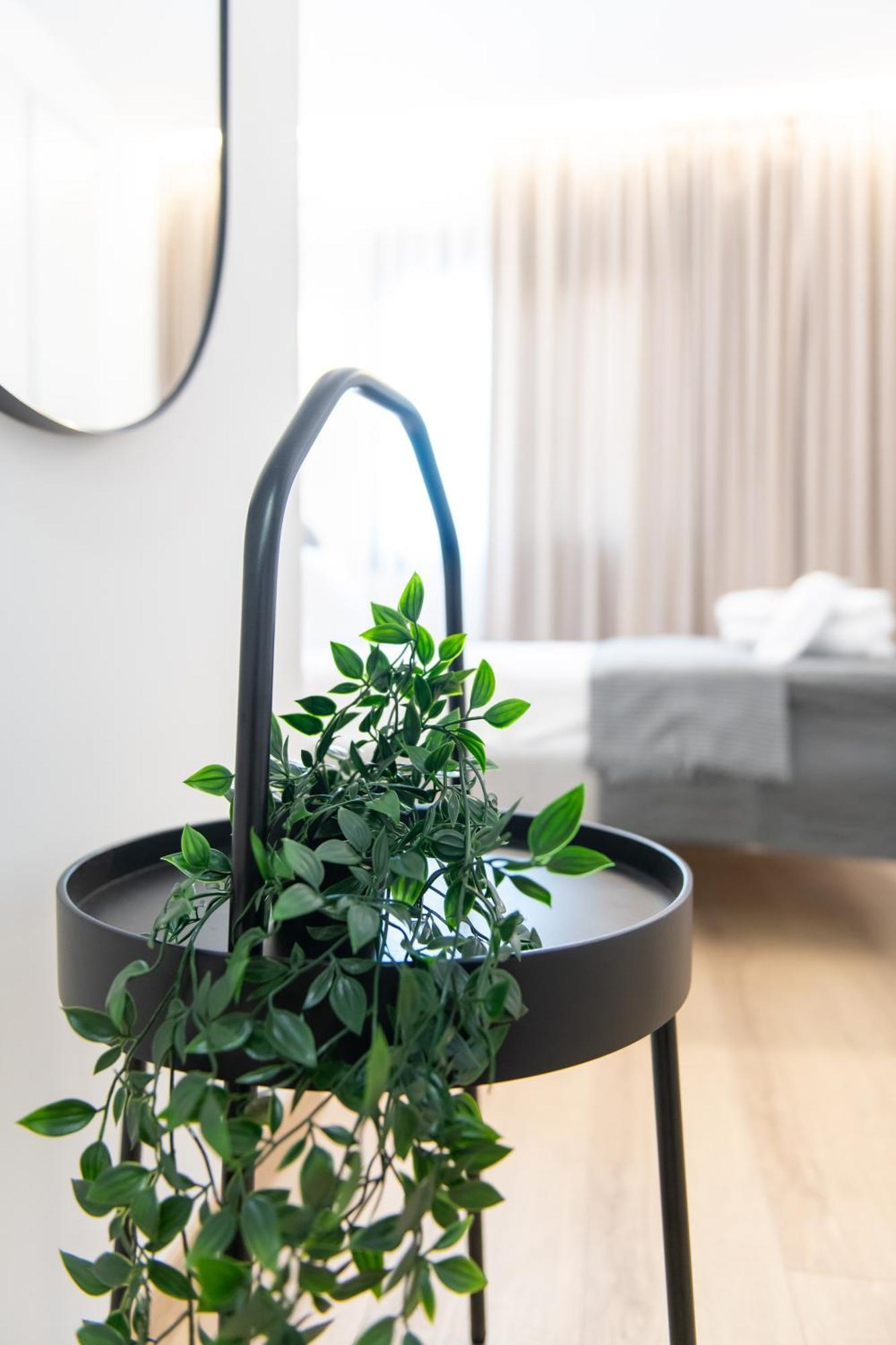 Anemoi - Luxe With Pool & Gym By Tt Appartement